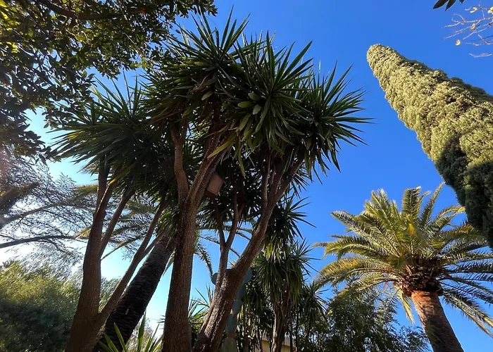 Belle Epoque Idealement Situee Et Centre *