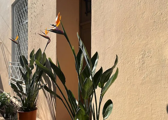 Belle Epoque Idealement Situee Et Centre Вілла *