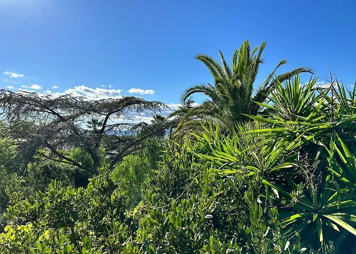 Belle Epoque Idealement Situee Et Centre * Сен-Рафаель