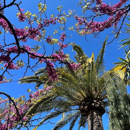 Вилла Belle Epoque Idealement Situee Et Centre *