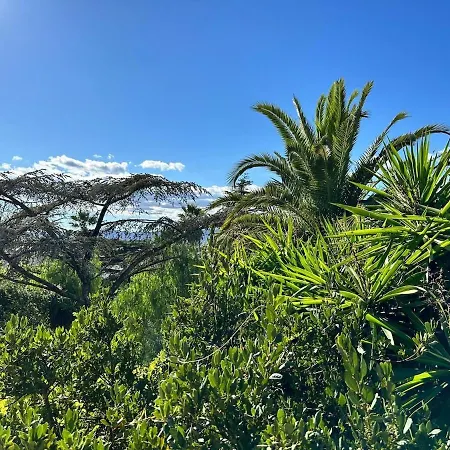 Belle époque Idéalement Située Et Centre * Saint-Raphaël