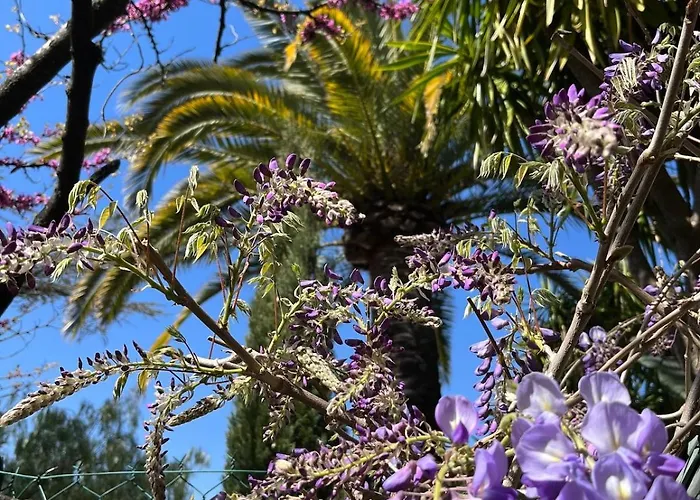 Villa Belle époque Idéalement Située Et Centre