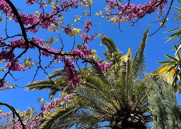 Villa Belle Epoque Idealement Situee Et Centre *