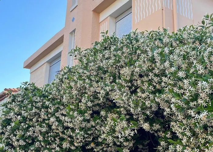 Belle Epoque Idealement Situee Et Centre Villa *